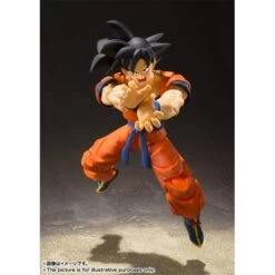 S.H.FIGUARTS: Dragon Ball - Son Goku (Saiyan Raised On Earth Ver.) REISSUE [Bandai Spirits] -Modelos Tienda De Ventas shfiguarts dragon ball son goku saiyan raised on earth ver reissue bandai spirits 1 9